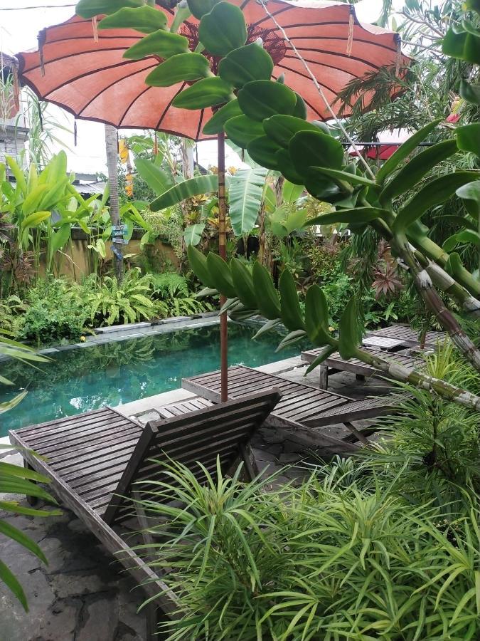 Comeback Guesthouse Canggu Zewnętrze zdjęcie