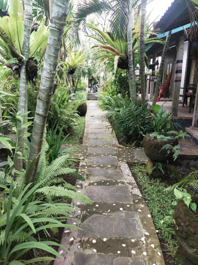 Comeback Guesthouse Canggu Zewnętrze zdjęcie