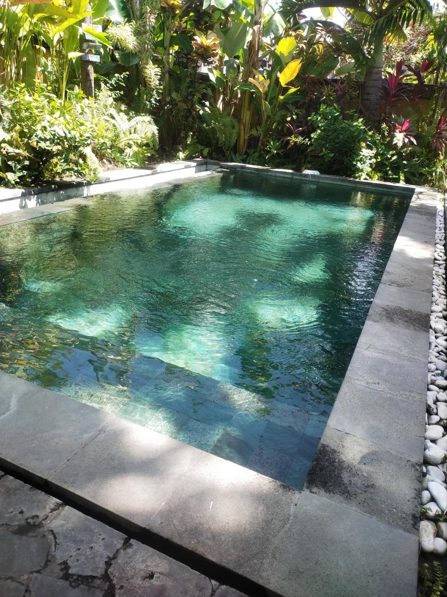 Comeback Guesthouse Canggu Zewnętrze zdjęcie