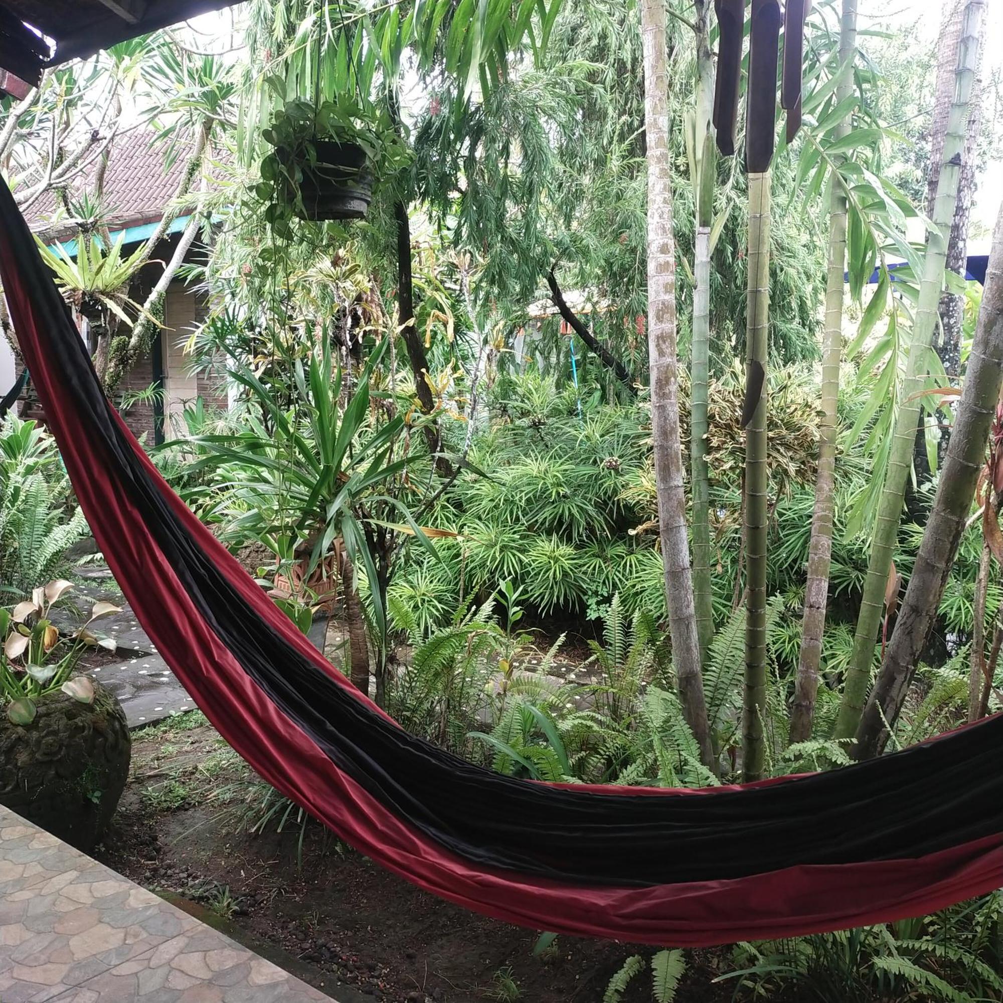 Comeback Guesthouse Canggu Zewnętrze zdjęcie